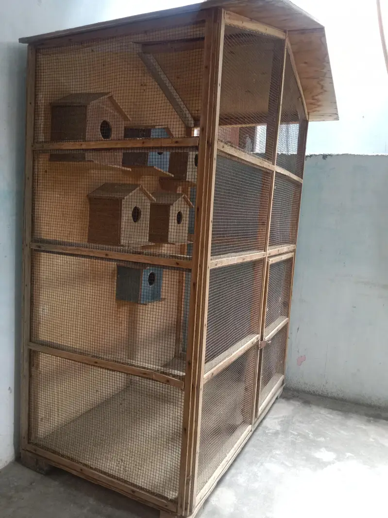 Australin parrot cage — photo 3