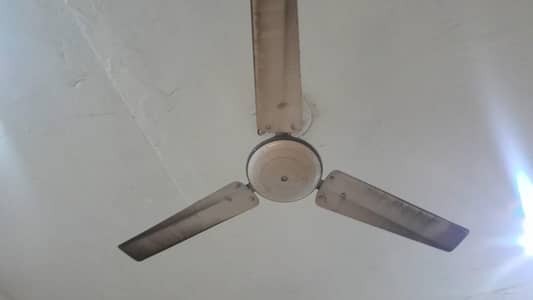 ceiling fan for Sale