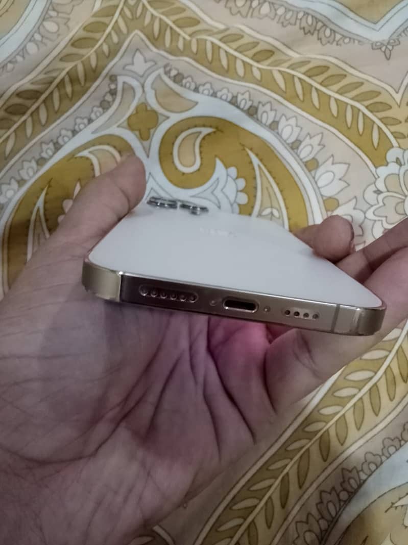 Apple iPhone 13 Pro Max 0