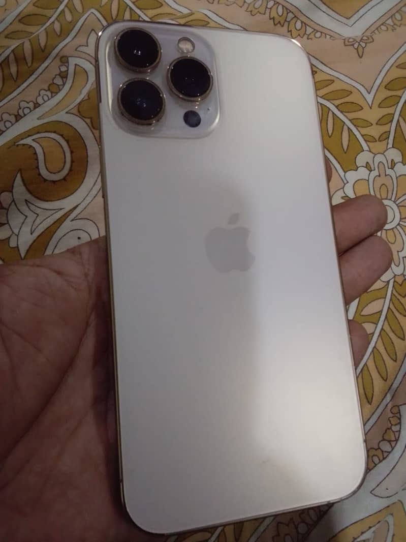 Apple iPhone 13 Pro Max 1