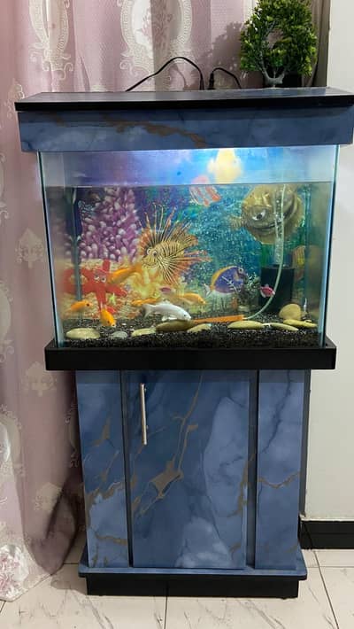 aquarium with accessories and fishes