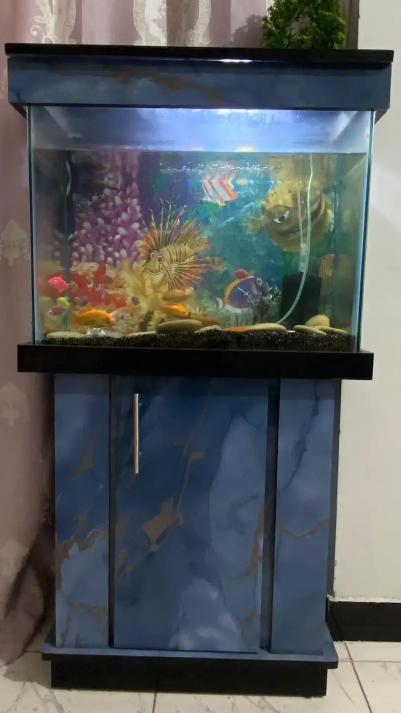 aquarium with accessories and fishes — photo 2