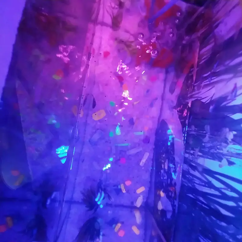 Complete Aquarium Setup for Sale Includes 10 Fishes — photo 5