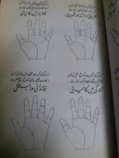 palmistry book