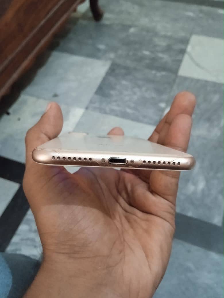 Apple iPhone 8 Plus 1