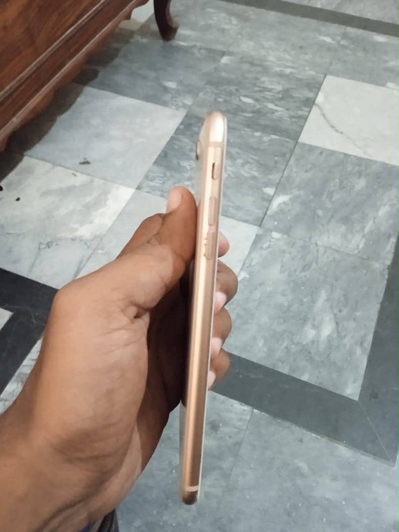 Apple iPhone 8 Plus 2