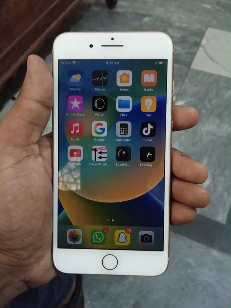Apple iPhone 8 Plus 3