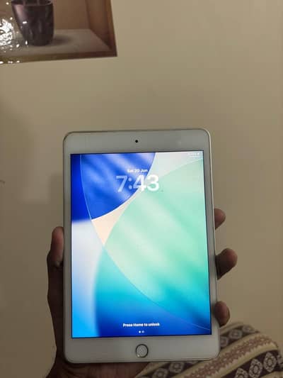 iPad mini 5