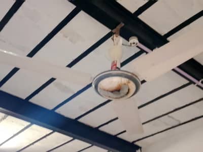 fan for sale jes ko lena ho ly lo 03468873908