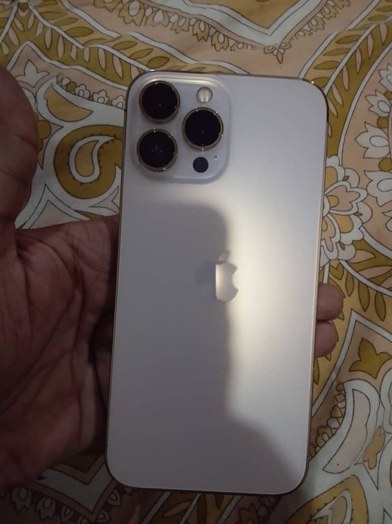 Apple iPhone 13 Pro Max 2