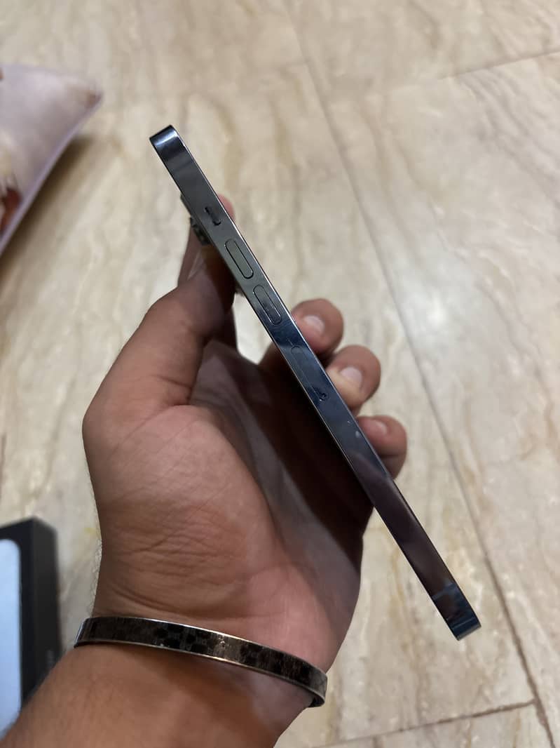 Apple iPhone 13 Pro Max 2