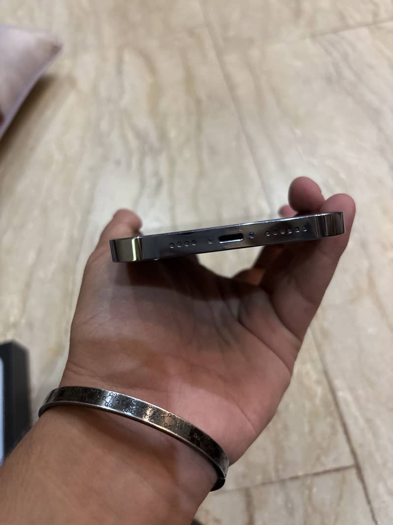 Apple iPhone 13 Pro Max 3