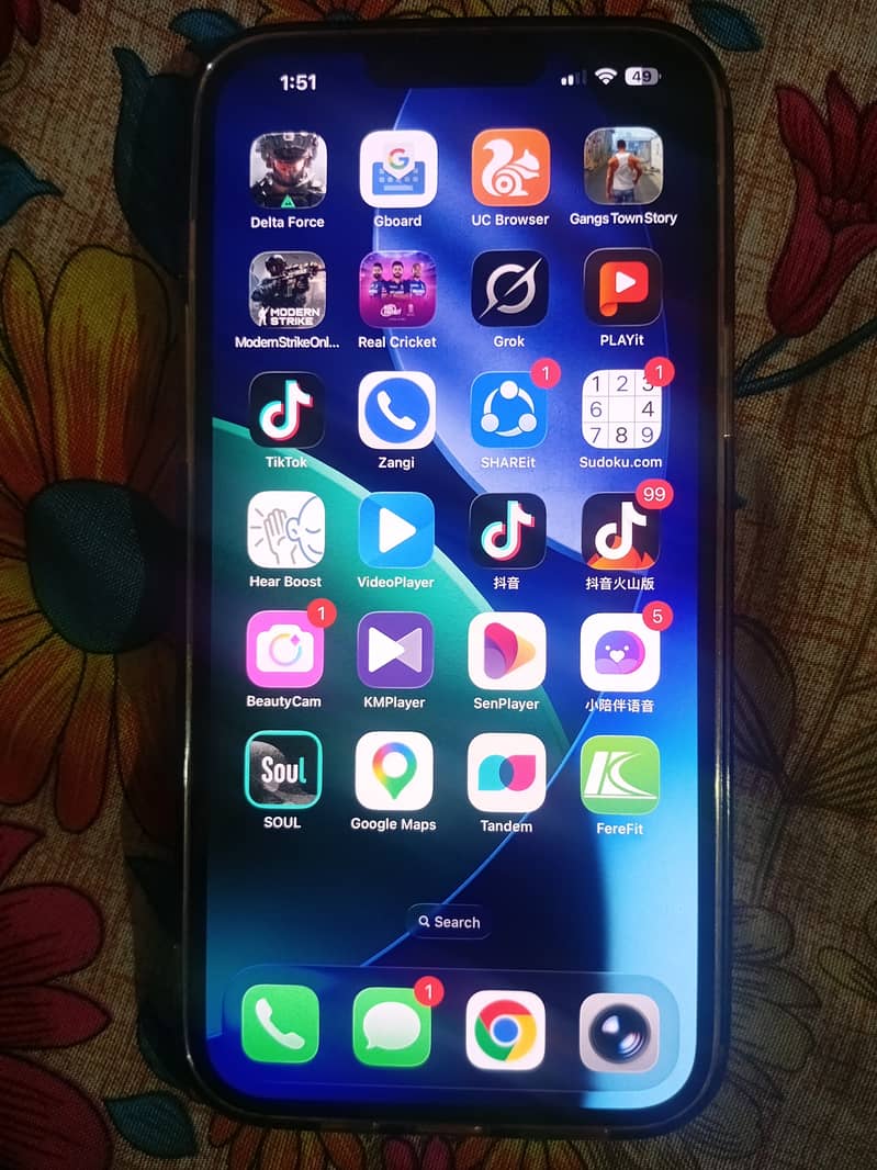 iPhone 13 Pro max 0
