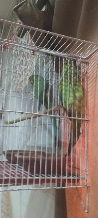 pair ha buhat acha ha Ghar ka Pala ha laken tame nahi ha