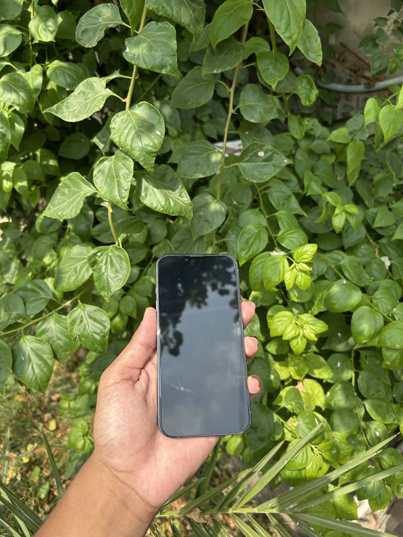 Apple iPhone 13 Pro 1