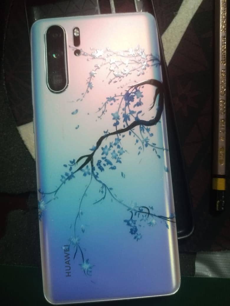 Huawei P30 Pro 1