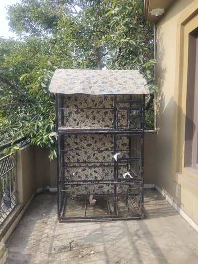 Birds Cage
