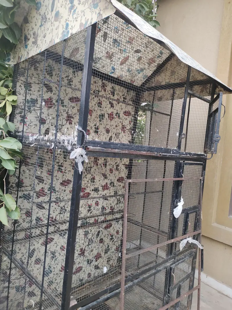 Birds Cage — photo 2