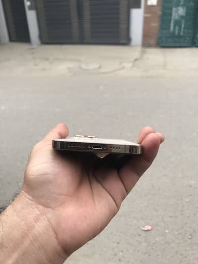 Apple iPhone 12 Pro Max