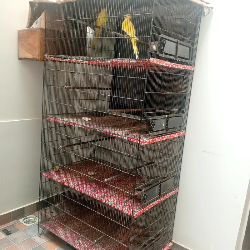 4 portions birds cage — photo 3