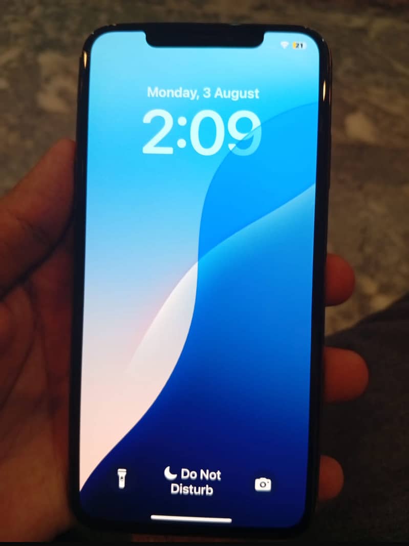 Apple iPhone XS Max 1