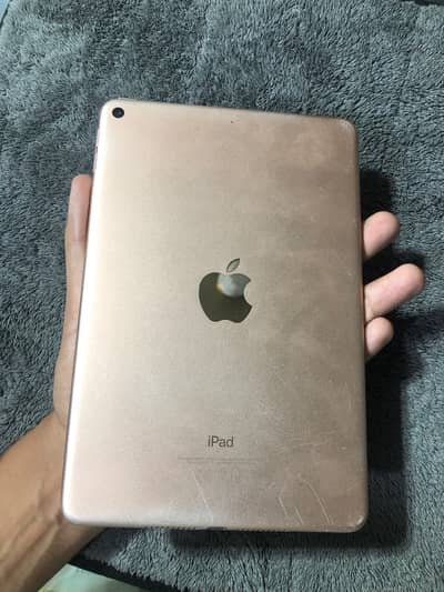 Ipad mini 5 Storage 256Gb