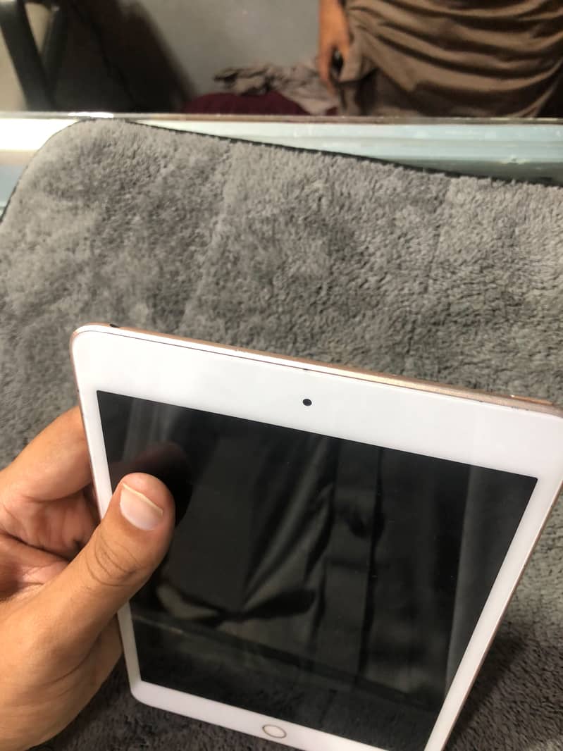 Ipad mini 5 Storage 256Gb 1