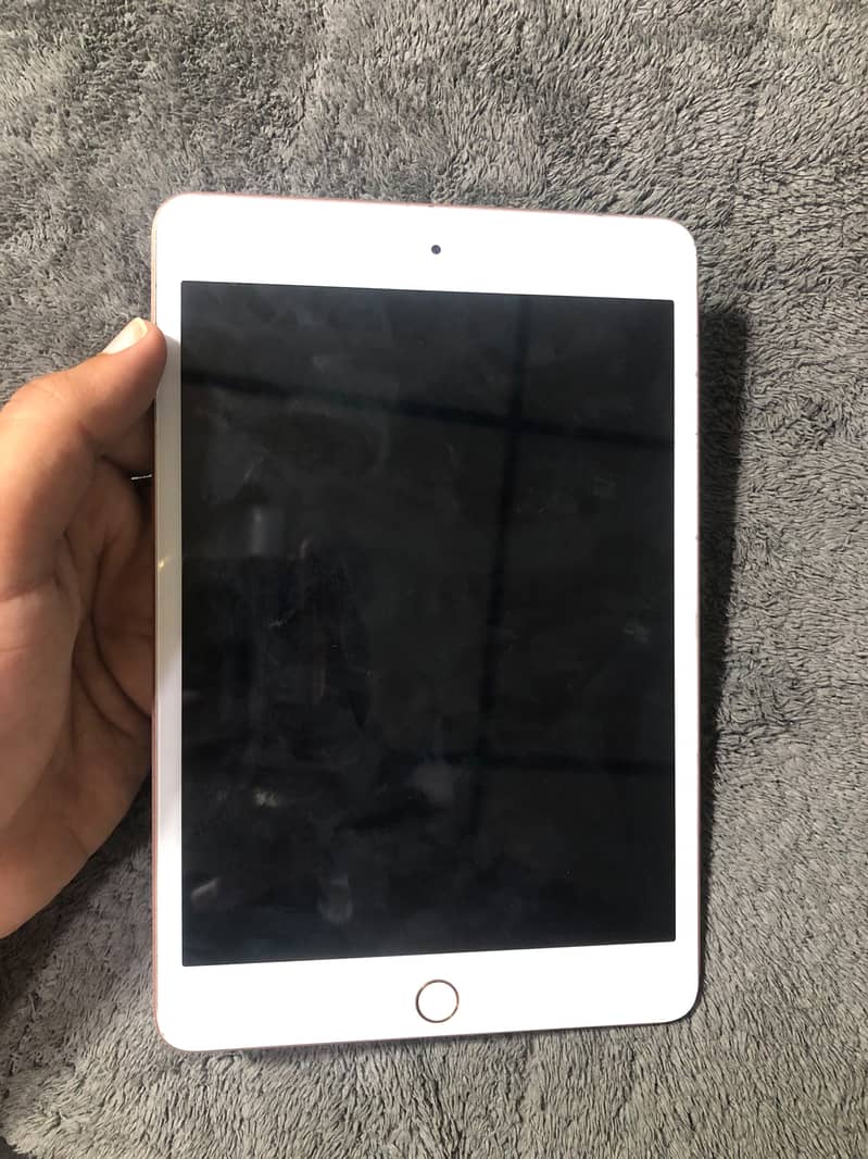 Ipad mini 5 Storage 256Gb 2