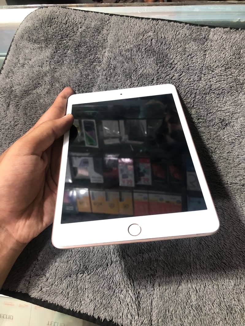 Ipad mini 5 Storage 256Gb 3