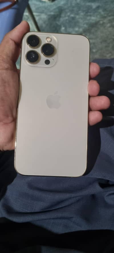 Apple iPhone 13 Pro Max pta