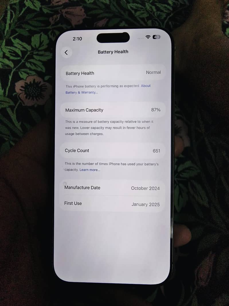 Apple iPhone 16 Pro Max 1