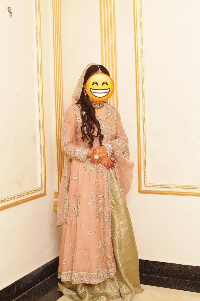 Walima Maxi 1
