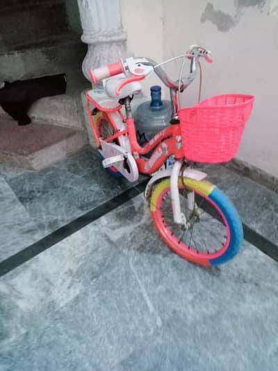 Bicycle for Girls