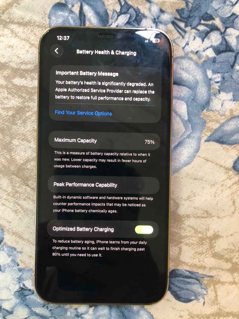 Apple iPhone 12 Pro Max 2