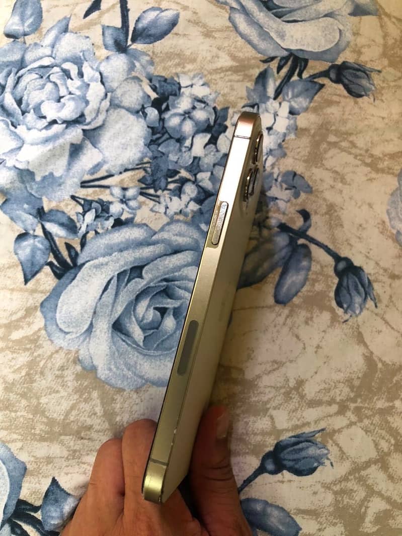 Apple iPhone 12 Pro Max 3