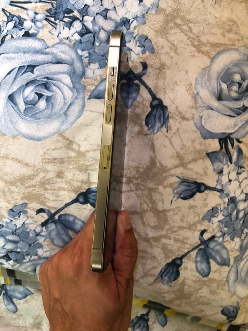 Apple iPhone 12 Pro Max 4