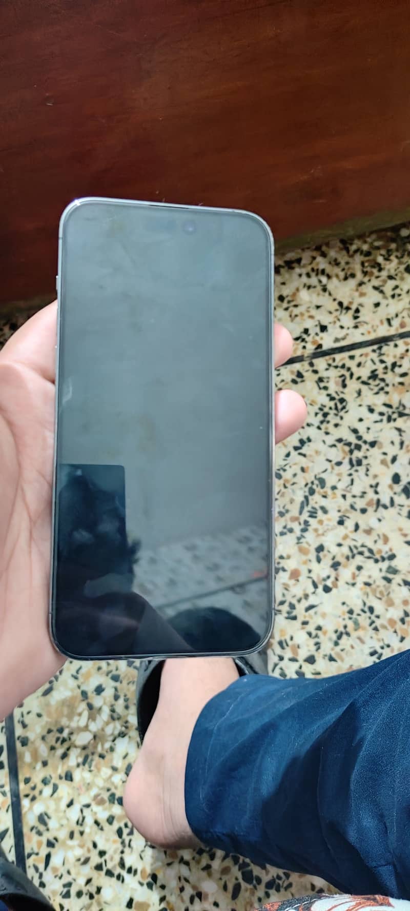Apple iPhone 14 Pro Max 1