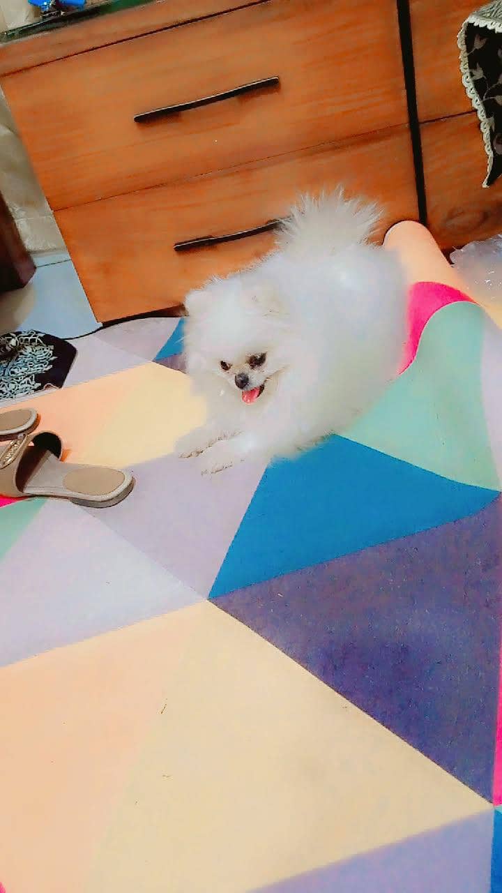 Jenay 4