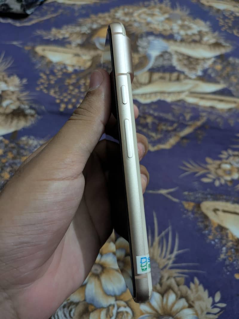 Google Pixel 8 5