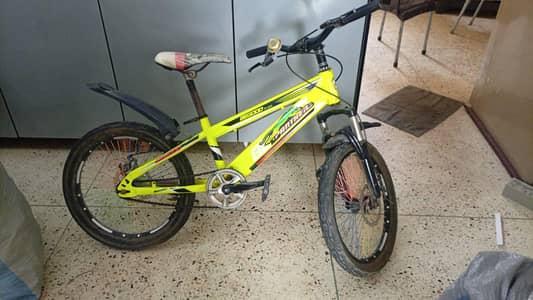 BEGOOD PANTHER Bicycle for Sale - Unique Rainbow Spokes