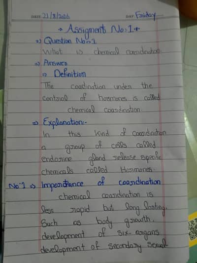 Hand writing assignments