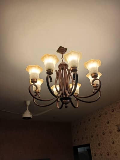 chandeliers / fanoos
