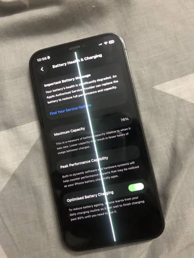 Apple iPhone 12 Pro only panel original