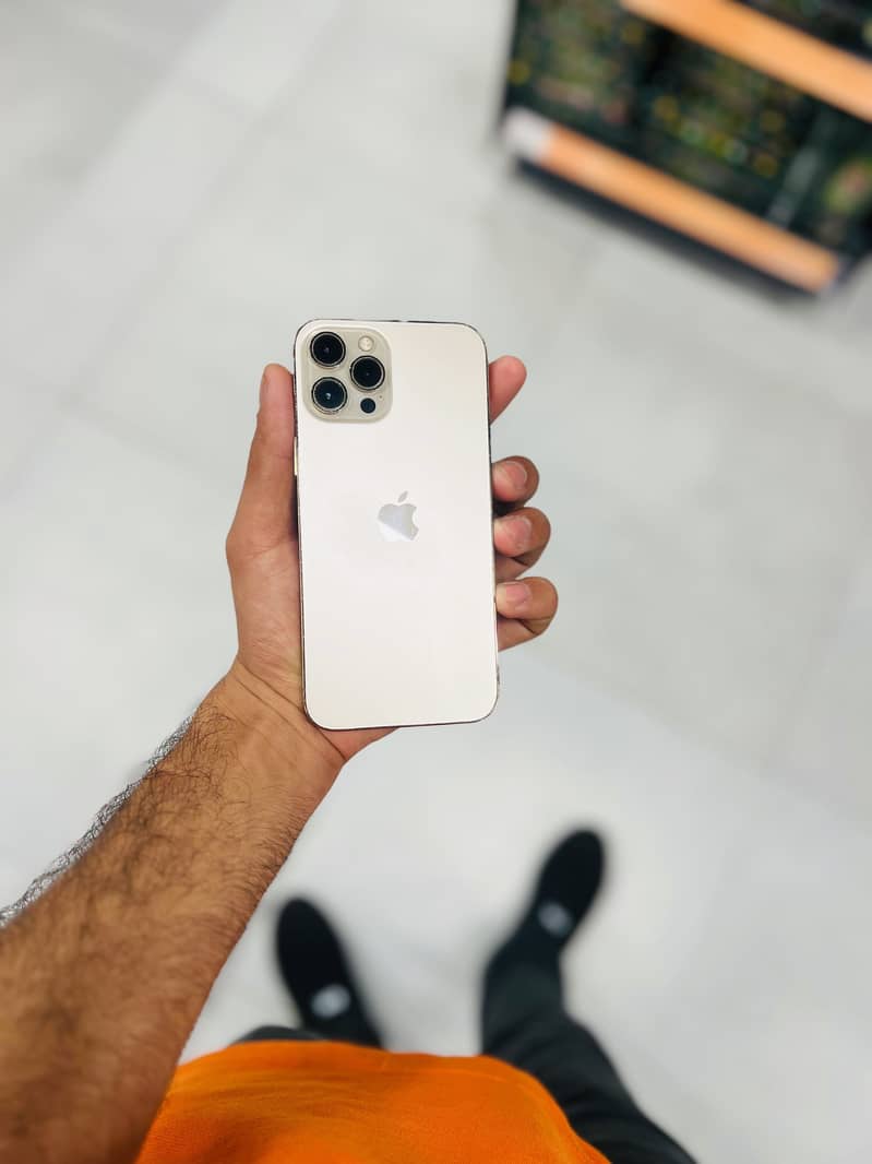 Apple iPhone 12 Pro Max 1