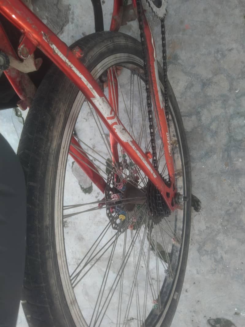 cycle for man 1