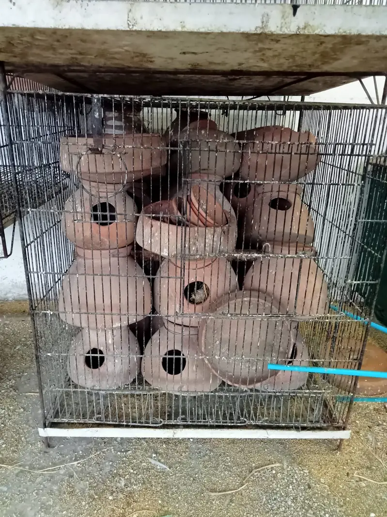 18x18 inch 6 pinjre in  use 6000per pcs — photo 2