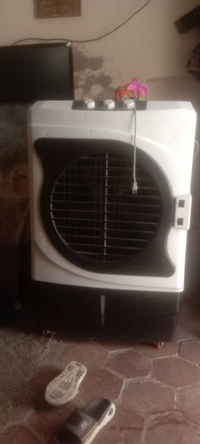urgent sale