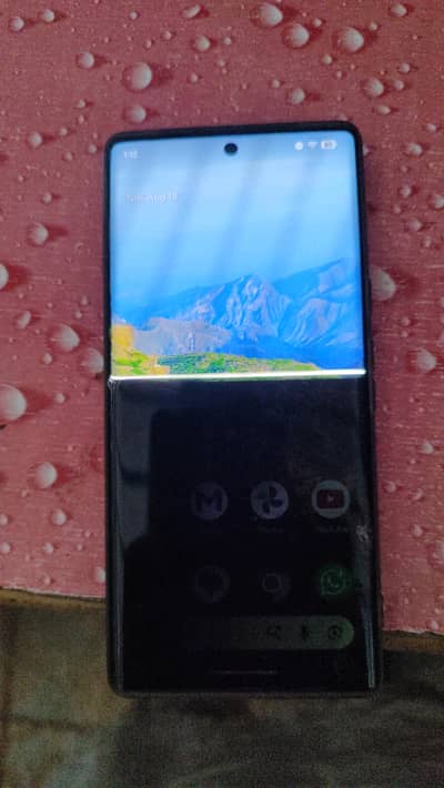 Google Pixel 6 Pro
