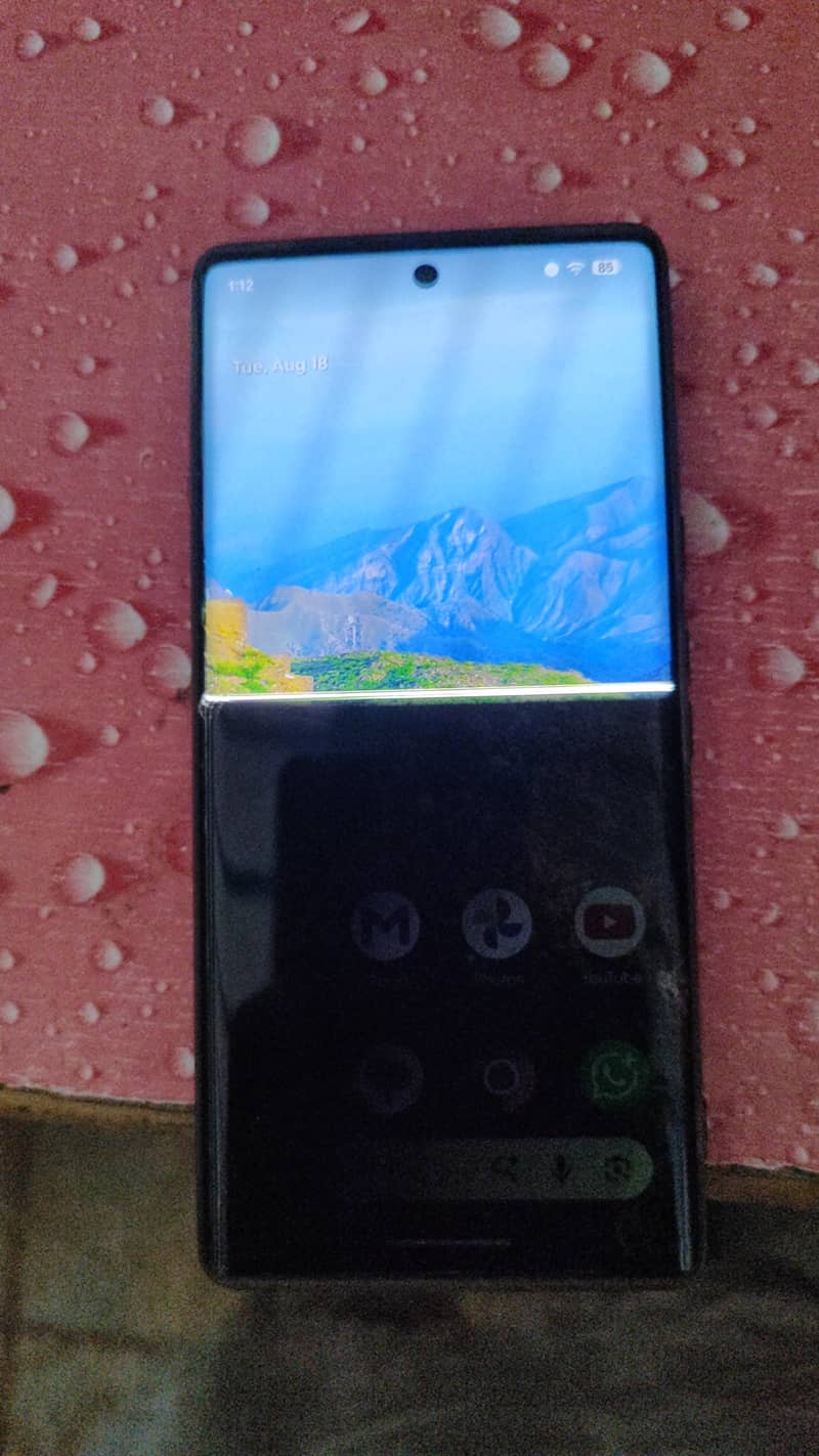 Google Pixel 6 Pro 0