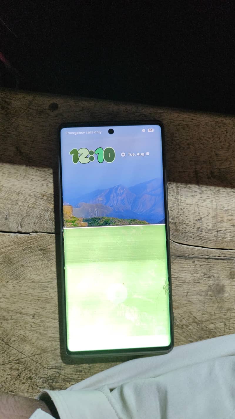 Google Pixel 6 Pro 1